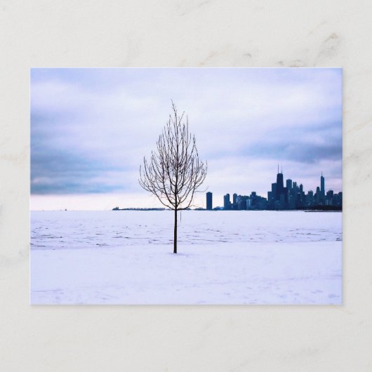 Witte droom - winter in Chicago, briefkaart (Voorkant)