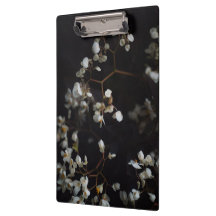 Witte droomachtige bloemen op een donkere achtergr