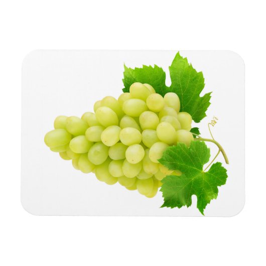 Witte druiven magneet (Horizontaal)