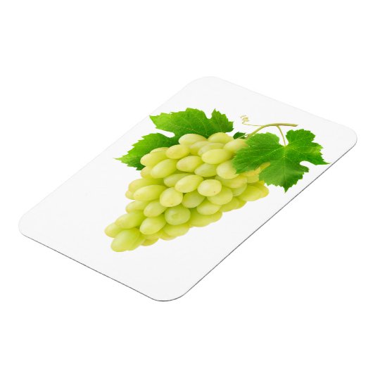 Witte druiven magneet (Linkerzijde)