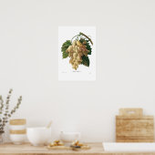 Witte druiven poster (Keuken)