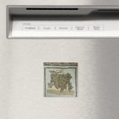 Witte druiven, Romeinse mozaïek Magneet (Insitu (Vaatwasser))