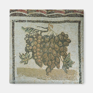 Witte druiven, Romeinse mozaïek Magneet