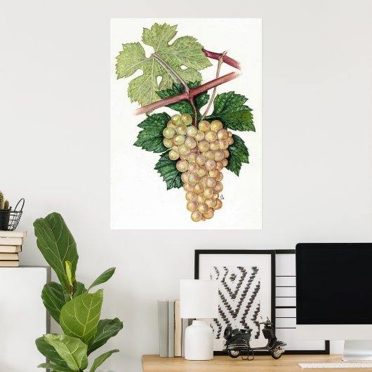 Witte druiven — Sue Abonyi Poster (Thuiskantoor)