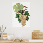 Witte druiven — Sue Abonyi Poster (Keuken)