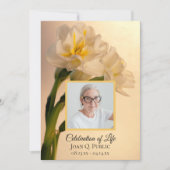 Witte dubbele daffodil bloemen viering van het lev kaart (Voorkant)