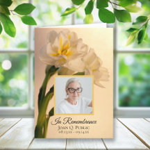 Witte Dubbele Daffodils Begrafenisservice Gevouwen