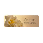 Witte Dubbele Daffodils Terugkeeradresetiket Etiket (Voorkant)