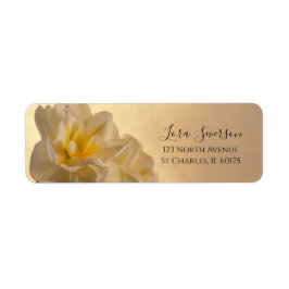 Witte Dubbele Daffodils Terugkeeradresetiket Etiket