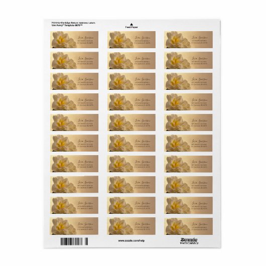 Witte Dubbele Daffodils Terugkeeradresetiket Etiket (Full Sheet)