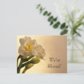 Witte Dubbele Daffodils Verandering van Adres Aankondigingskaart (Staand voorkant)