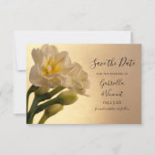 Witte dubbele narcissen huwelijks "Save the Date" Save The Date (Voorkant)