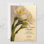 Witte dubbele narcissen Lente-equinox-viering Kaart (Voorkant)