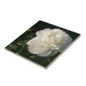 Witte dubbele pinda's of trivets tegeltje (Zijkant)