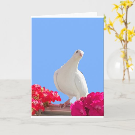 Witte Duif Bewerkbare Kaart (Gele Bloem)