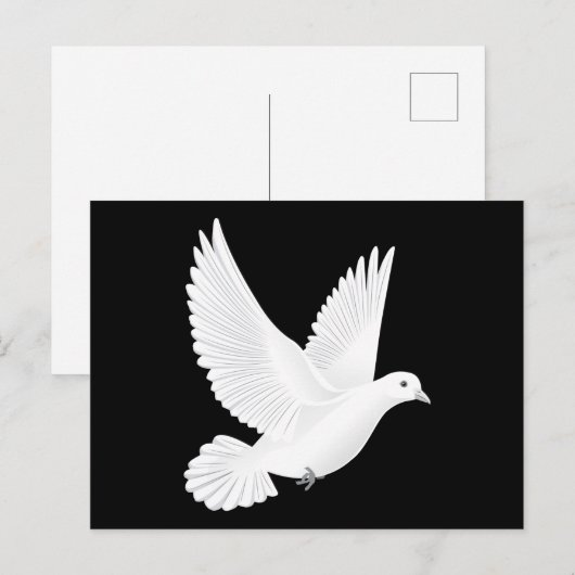 Witte duif briefkaart (Voorkant / Achterkant)