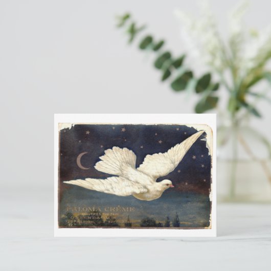 witte duif briefkaart (Staand voorkant)