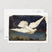 witte duif briefkaart (Voorkant / Achterkant)