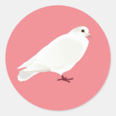 Witte duif (duif) ronde sticker (Voorkant)