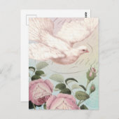 Witte duif en roze rozen briefkaart (Voorkant / Achterkant)