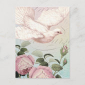 Witte duif en roze rozen briefkaart (Voorkant)