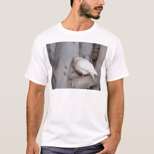 Witte duif in boom t-shirt (Voorkant)