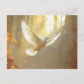 Witte duif in het lichtschilderij briefkaart (Voorkant)