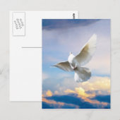 Witte duif in vlucht briefkaart (Voorkant / Achterkant)