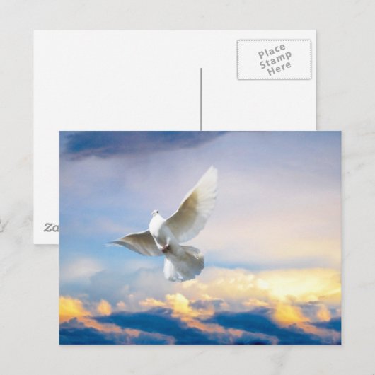 Witte duif in vlucht briefkaart (Voorkant / Achterkant)