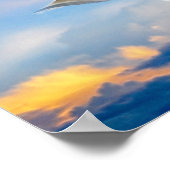 Witte duif in vlucht poster (Hoek)