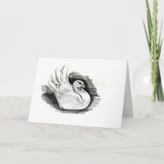 Witte Duif Kaart (Voorkant)