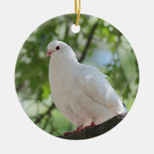 Witte duif keramisch ornament
