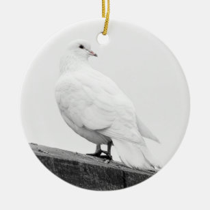 Witte duif keramisch ornament