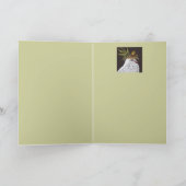 witte duif met olijftakpas kaart (Binnen)