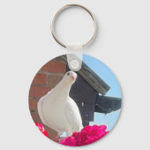 Witte Duif Sleutelhanger (Voorkant)