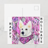 Witte Duitse Herder      Briefkaart (Voorkant / Achterkant)