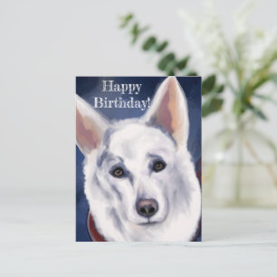 WITTE DUITSE HERDER BRIEFKAART