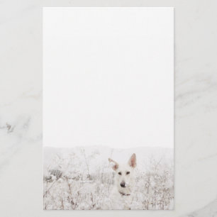 Witte Duitse herder Briefpapier