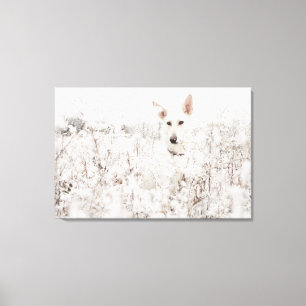 Witte Duitse herder in de sneeuw Canvas Afdruk