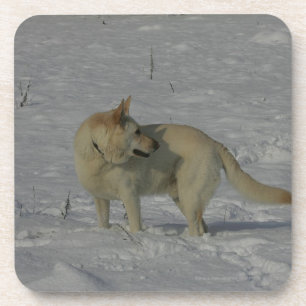 Witte Duitse herder in de sneeuw Drankjes Onderzetter