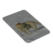 Witte Duitse herder in de sneeuw Magneet (Rechterzijde)