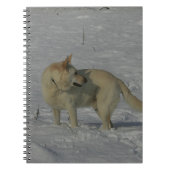 Witte Duitse herder in de sneeuw Notitieboek (Voorkant)
