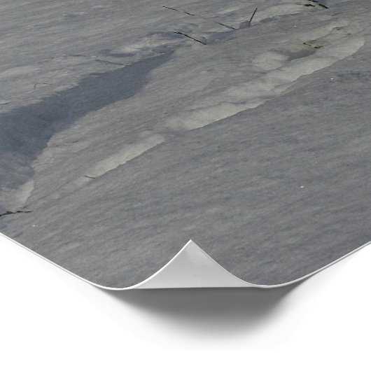 Witte Duitse herder in de sneeuw Poster (Hoek)