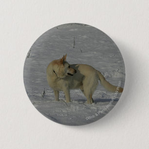 Witte Duitse herder in de sneeuw Ronde Button 5,7 Cm
