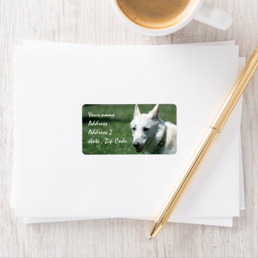 Witte Duitse herder Verzendlabels Etiket (Insitu)