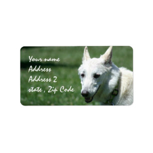 Witte Duitse herder Verzendlabels Etiket