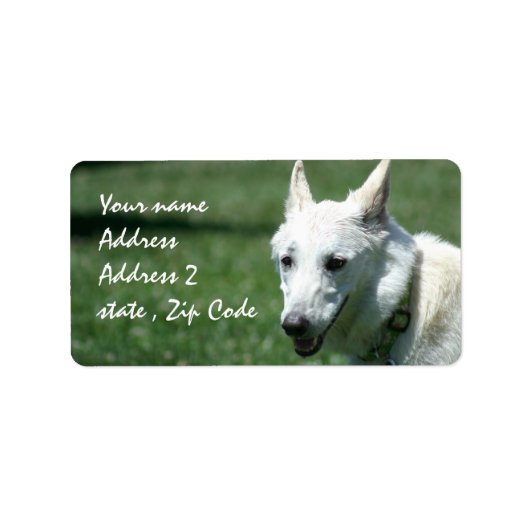Witte Duitse herder Verzendlabels Etiket (Voorkant)