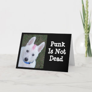Witte Duitse Herder W. Mohawk Kaart