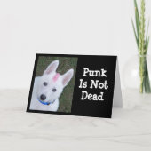 Witte Duitse Herder W. Mohawk Kaart (Voorkant)