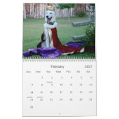 Witte Duitse herders Kalender (Feb 2027)